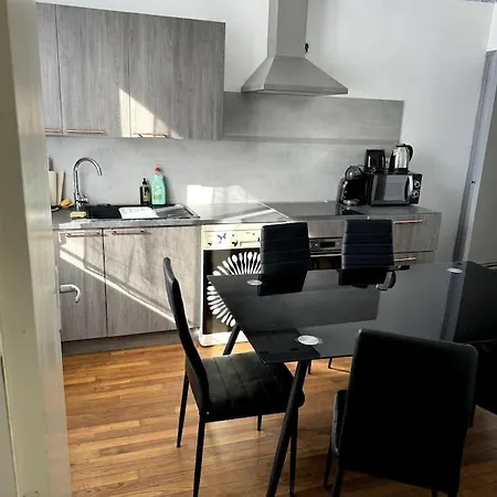 Sabatier T4 Avec Terrasse Et Jardin アパート カルカソンヌ